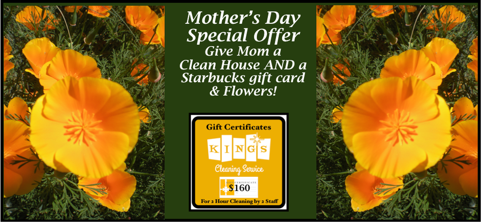 Mothers Day cleaning gift certificate